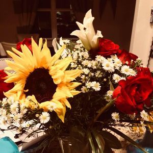 Meet your Posher, Herminia